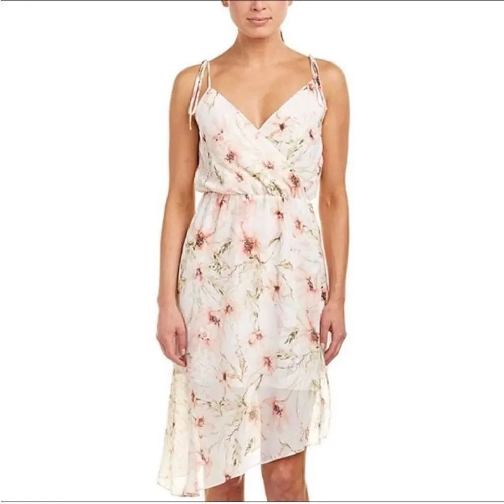 Haute Hippie Garden of Love Caitlyn Dress Floral Asymmetrical sz XS $425 MSRP